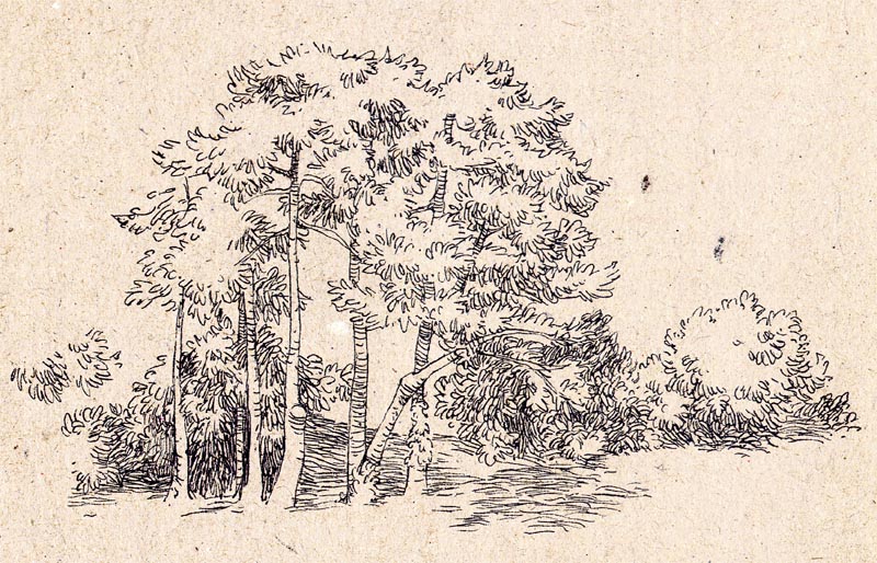 julie ricossé arbres 2