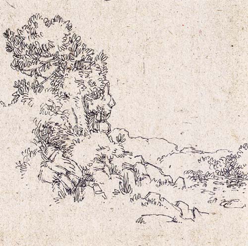 julie ricossé arbres 4
